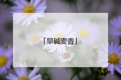 旱碱麦香