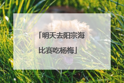 明天去阳宗海比赛吃杨梅