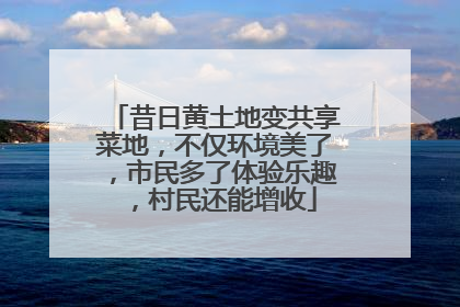 昔日黄土地变共享菜地，不仅环境美了，市民多了体验乐趣，村民还能增收