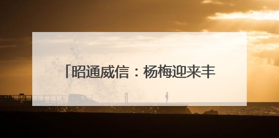 昭通威信：杨梅迎来丰收季 助农增收采摘忙
