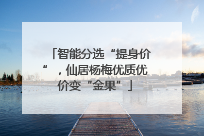 智能分选“提身价”，仙居杨梅优质优价变“金果”