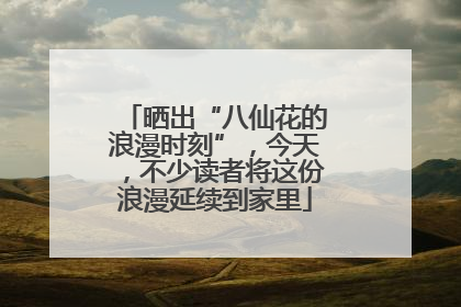 晒出“八仙花的浪漫时刻”，今天，不少读者将这份浪漫延续到家里