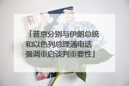 普京分别与伊朗总统和以色列总理通电话 强调重启谈判重要性