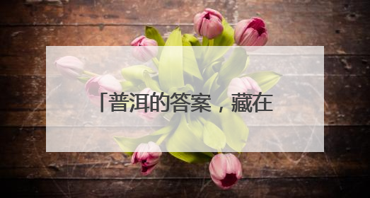 普洱的答案，藏在万物共生的和鸣里