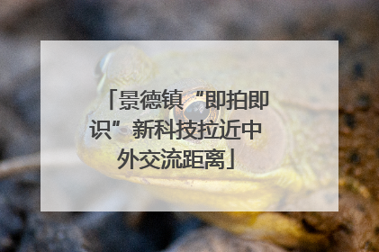 景德镇“即拍即识”新科技拉近中外交流距离