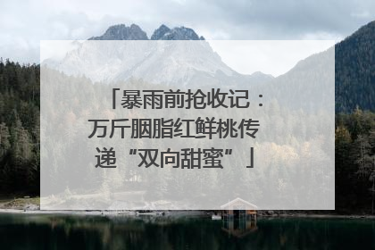 暴雨前抢收记：万斤胭脂红鲜桃传递“双向甜蜜”