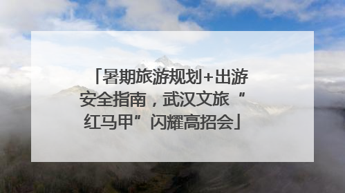 暑期旅游规划+出游安全指南，武汉文旅“红马甲”闪耀高招会