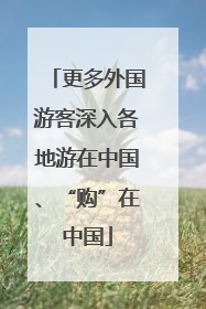 更多外国游客深入各地游在中国、“购”在中国