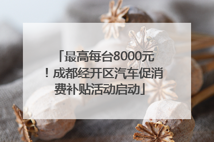 最高每台8000元！成都经开区汽车促消费补贴活动启动