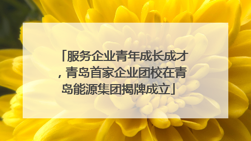 服务企业青年成长成才，青岛首家企业团校在青岛能源集团揭牌成立