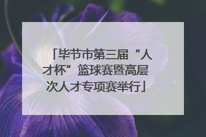 毕节市第三届“人才杯”篮球赛暨高层次人才专项赛举行