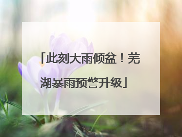 此刻大雨倾盆！芜湖暴雨预警升级