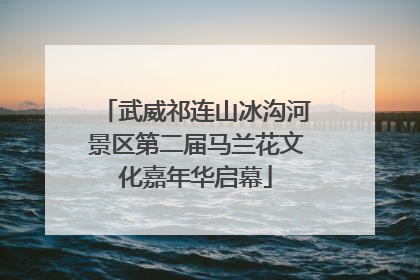 武威祁连山冰沟河景区第二届马兰花文化嘉年华启幕