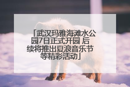武汉玛雅海滩水公园7日正式开园 后续将推出夏浪音乐节等精彩活动