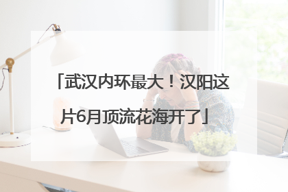 武汉内环最大！汉阳这片6月顶流花海开了
