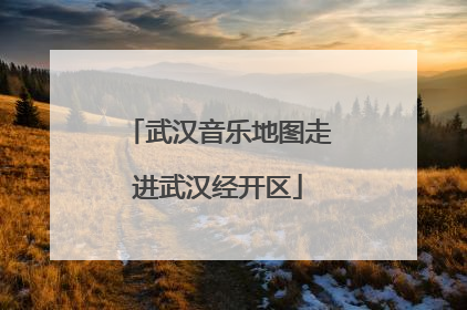 武汉音乐地图走进武汉经开区
