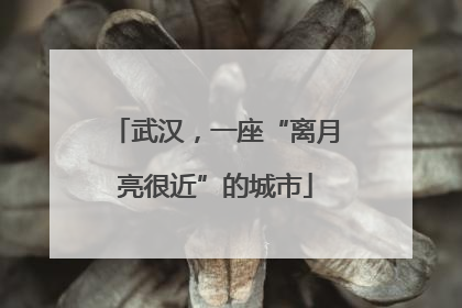 武汉，一座“离月亮很近”的城市