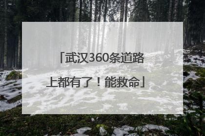 武汉360条道路上都有了！能救命