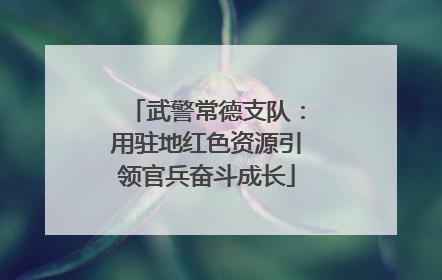 武警常德支队：用驻地红色资源引领官兵奋斗成长