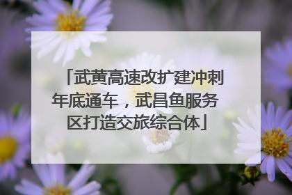 武黄高速改扩建冲刺年底通车，武昌鱼服务区打造交旅综合体