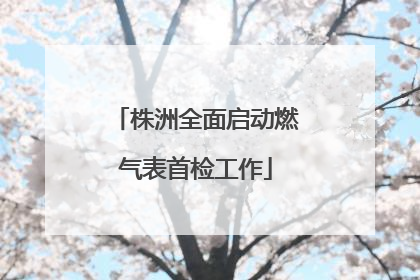 株洲全面启动燃气表首检工作