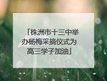 株洲市十三中举办杨梅采摘仪式为高三学子加油
