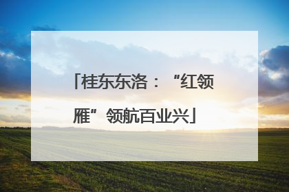 桂东东洛：“红领雁”领航百业兴