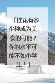 桂花有多少种成为美食的可能？你的水平可能不如小学生！