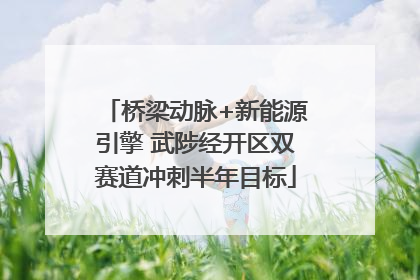 桥梁动脉+新能源引擎 武陟经开区双赛道冲刺半年目标