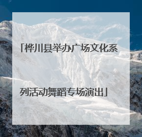 桦川县举办广场文化系列活动舞蹈专场演出