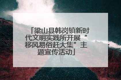 梁山县韩岗镇新时代文明实践所开展“移风易俗赶大集”主题宣传活动