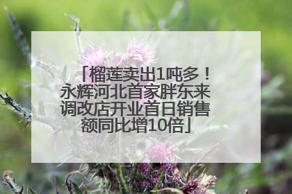 榴莲卖出1吨多！永辉河北首家胖东来调改店开业首日销售额同比增10倍