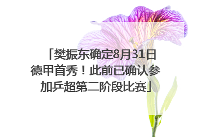 樊振东确定8月31日德甲首秀！此前已确认参加乒超第二阶段比赛