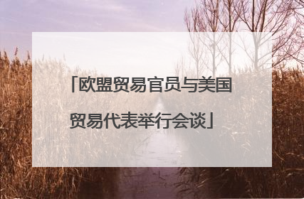 欧盟贸易官员与美国贸易代表举行会谈
