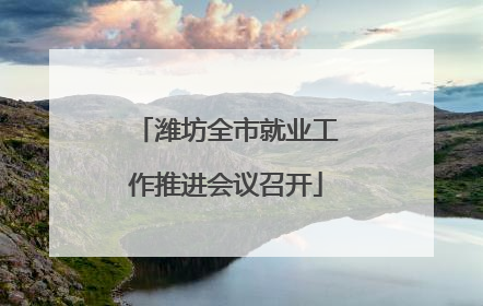 潍坊全市就业工作推进会议召开