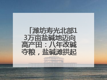 潍坊寿光北部13万亩盐碱地迈向高产田：八年改碱夺粮，盐碱滩拱起“金粮仓”