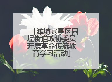 潍坊寒亭区固堤街道政协委员开展革命传统教育学习活动