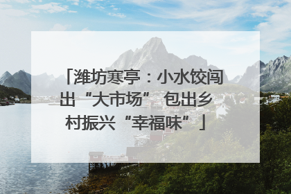 潍坊寒亭：小水饺闯出“大市场” 包出乡村振兴“幸福味”