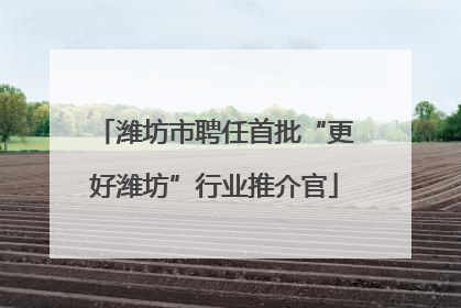 潍坊市聘任首批“更好潍坊”行业推介官
