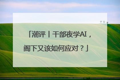 潮评丨干部夜学AI，阁下又该如何应对？