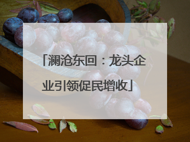 澜沧东回：龙头企业引领促民增收