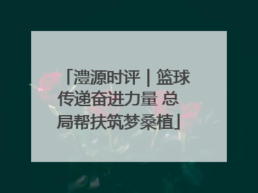 澧源时评｜篮球传递奋进力量 总局帮扶筑梦桑植