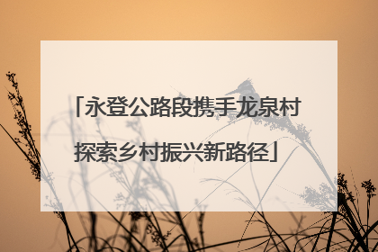 永登公路段携手龙泉村探索乡村振兴新路径