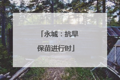 永城：抗旱保苗进行时