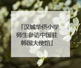 汉城华侨小学师生参访中国驻韩国大使馆