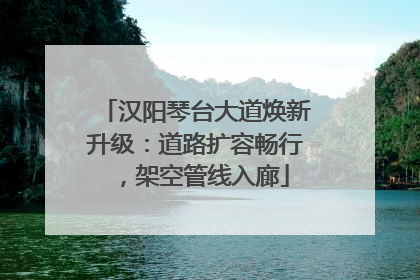 汉阳琴台大道焕新升级：道路扩容畅行，架空管线入廊