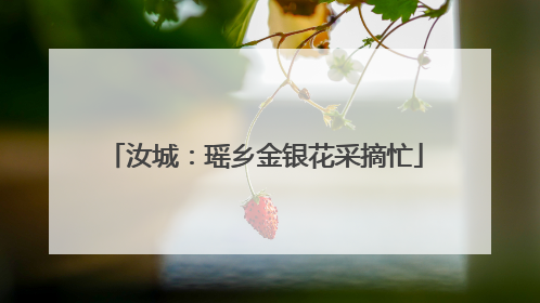 汝城：瑶乡金银花采摘忙