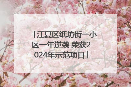 江夏区纸坊街一小区一年逆袭 荣获2024年示范项目