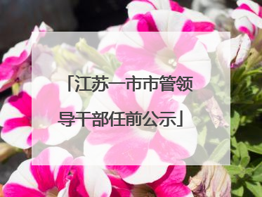 江苏一市市管领导干部任前公示
