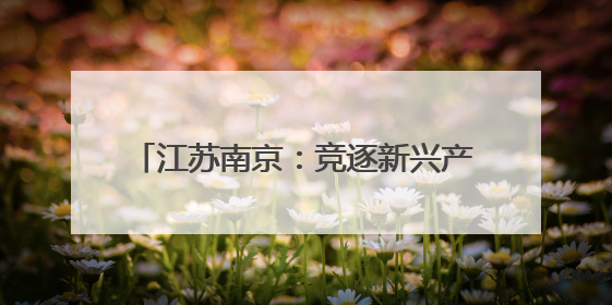 江苏南京：竞逐新兴产业新赛道（走进产业地标·发展一线探变化）